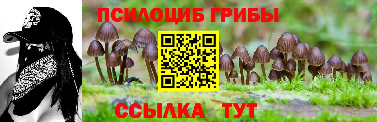 Псилоцибиновые грибы MAGIC MUSHROOMS Кумертау